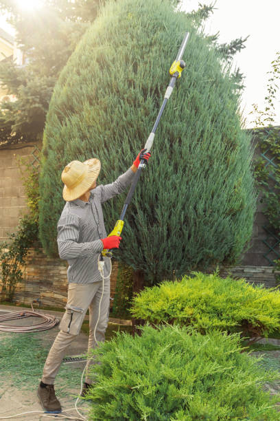 Bedminster, NJ Tree Removal and Landscaping Services Company